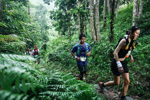 BIB: 
                            <button type="button" onclick="openModal(26359861)" class="btn btn-primary btn-sm float-right btn-popup" data-toggle="modal" data-target=".modal-high-quality">
                        <i class="fas fa-shopping-cart"></i> Add to Cart
                    </button>
                                            <button type="button" onclick="isThisMe(26359861, true)" class="btn btn-success btn-sm float-right btn-popup btn-isme hidden" data-toggle="tooltip" data-placement="bottom" title="นี่คือรูปของคุณใช่ไหม คลิกที่นี่เพื่อเอาเข้าอัลบั้ม">
                        <i class="fas fa-plus"></i> Add to album
                    </button>
                    <button type="button" onclick="isThisMe(26359861, false)" class="btn btn-warning btn-sm float-right btn-popup btn-isnotme hidden">
                        <i class="fas fa-ban"></i> Remove from album
                    </button>